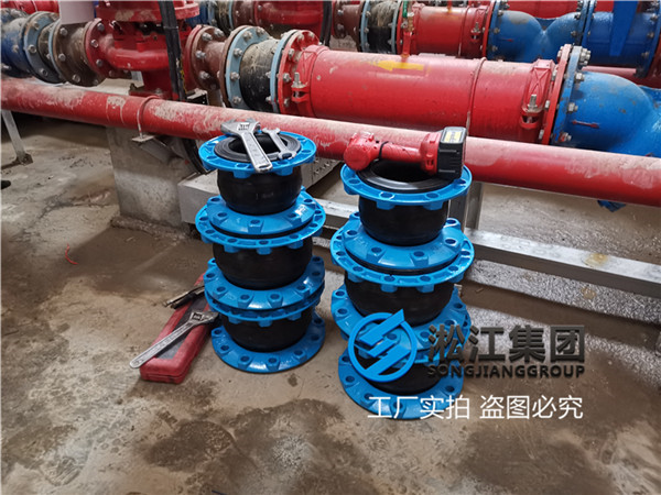 汽轮发电机组系统挠性橡胶接头汇集用户